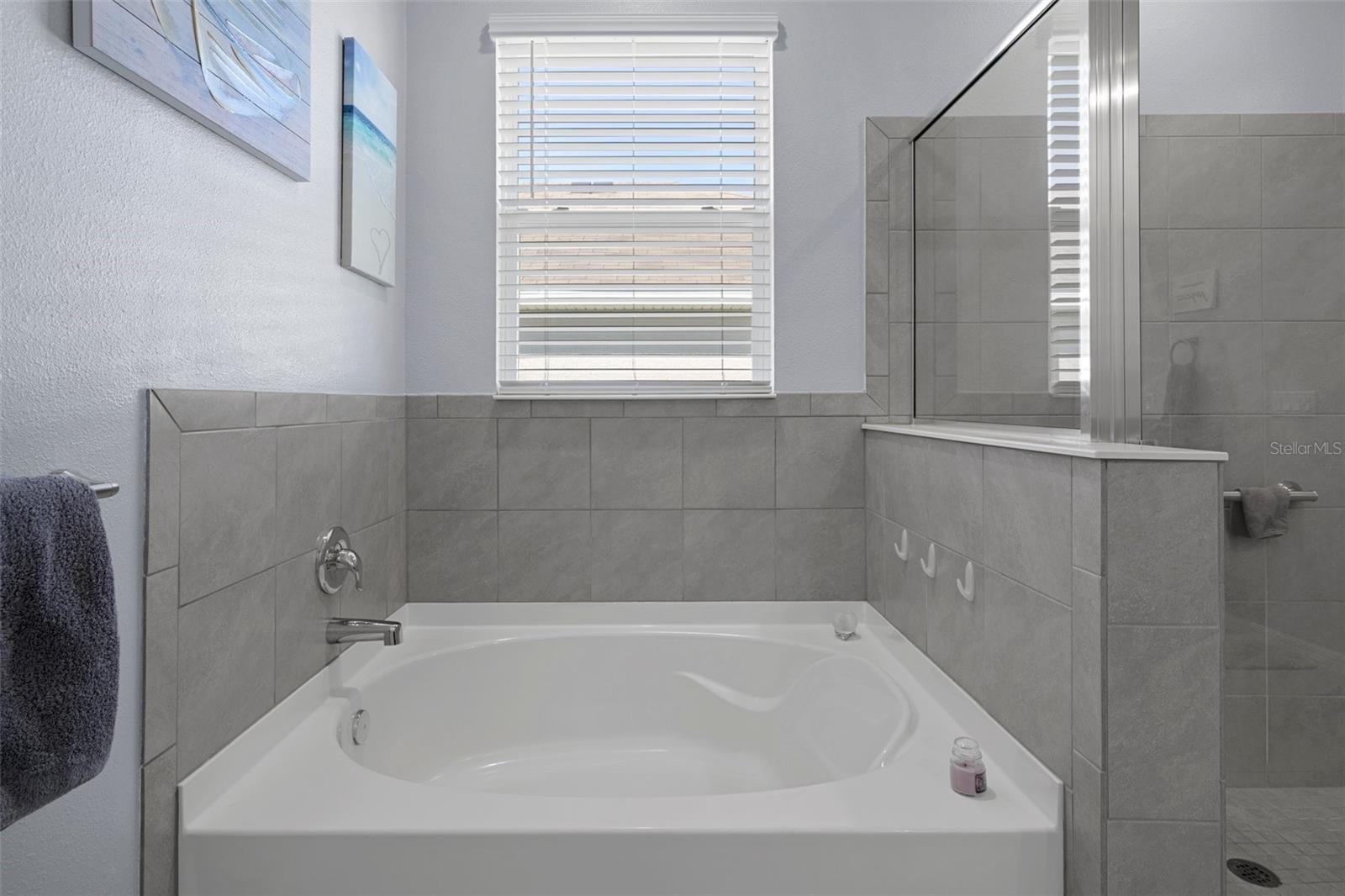 13359 GOLDEN LIME AVE, SPRING HILL, FL, 34609