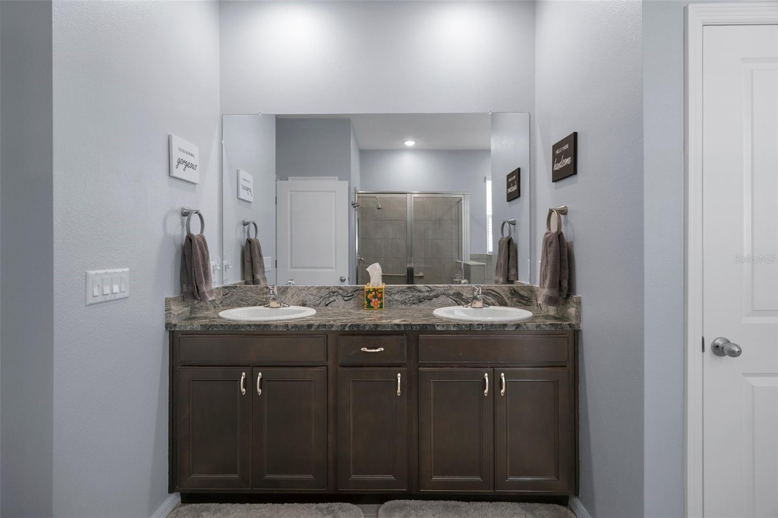 13359 GOLDEN LIME AVE, SPRING HILL, FL, 34609