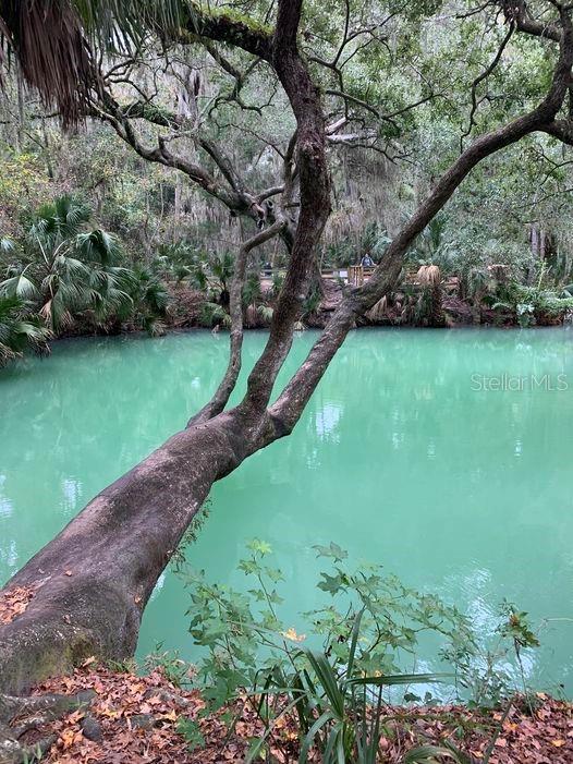 100 SWEETGUM WOODS CT #11D, DELTONA, FL, 32725