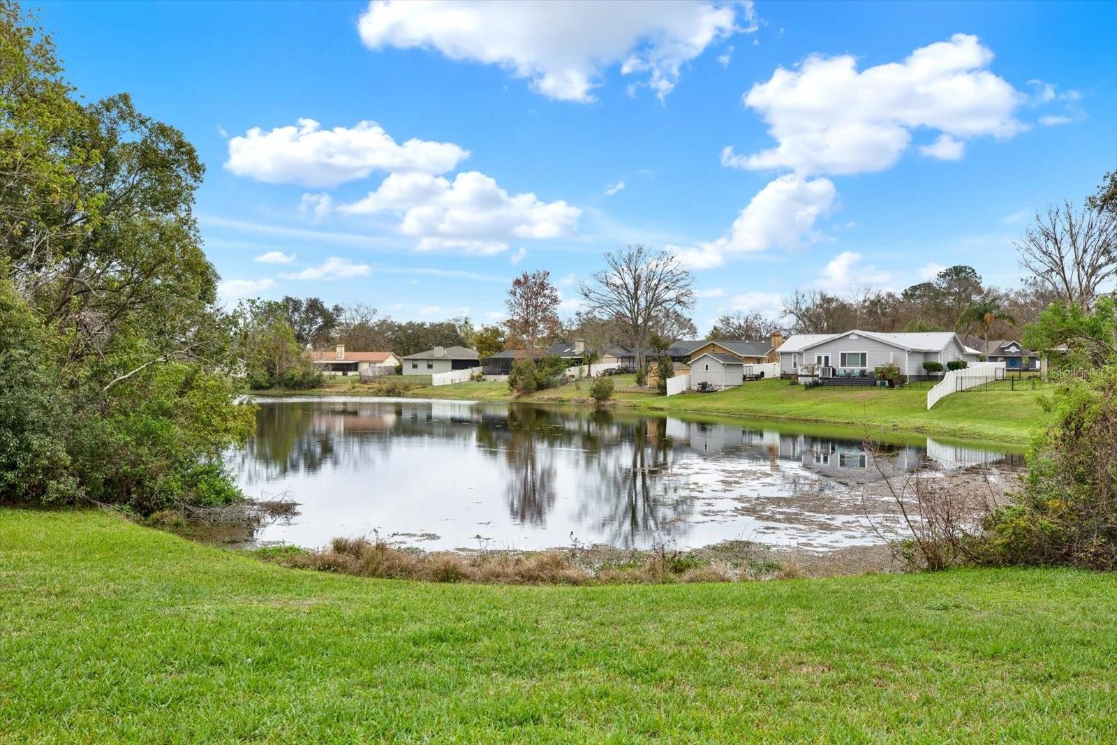 3944 SPRUCEWOOD PL, LAND O LAKES, FL, 34639