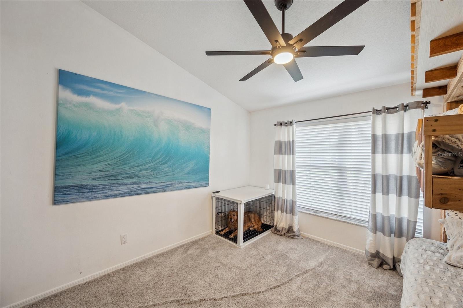 716 SAMANTHA DR, PALM HARBOR, FL, 34683