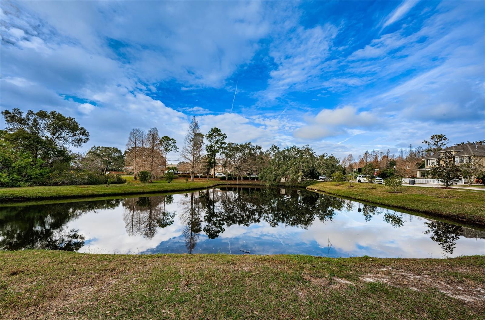 9411 CAVENDISH DR #107, TAMPA, FL, 33626