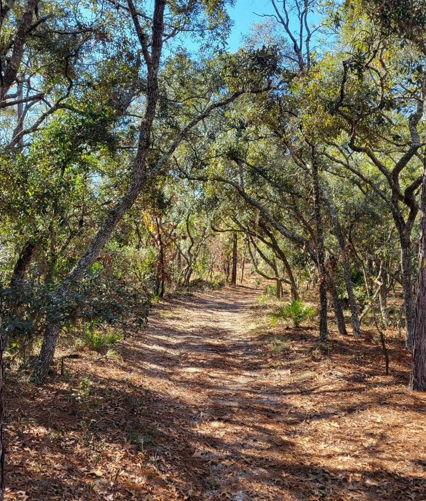 4417 W BONANZA DR, BEVERLY HILLS, FL, 34465