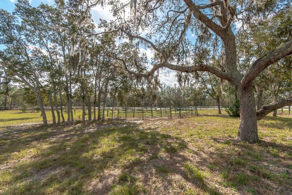 4417 W BONANZA DR, BEVERLY HILLS, FL, 34465