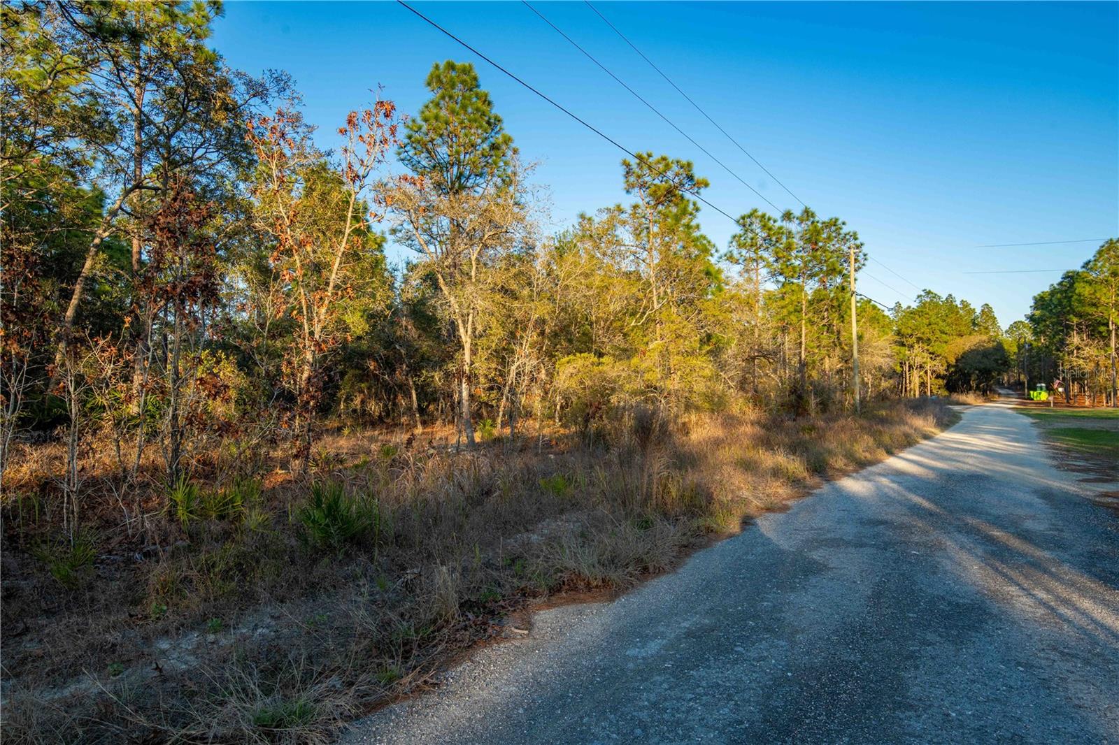 11465 THAMES AVE, WEEKI WACHEE, FL, 34614