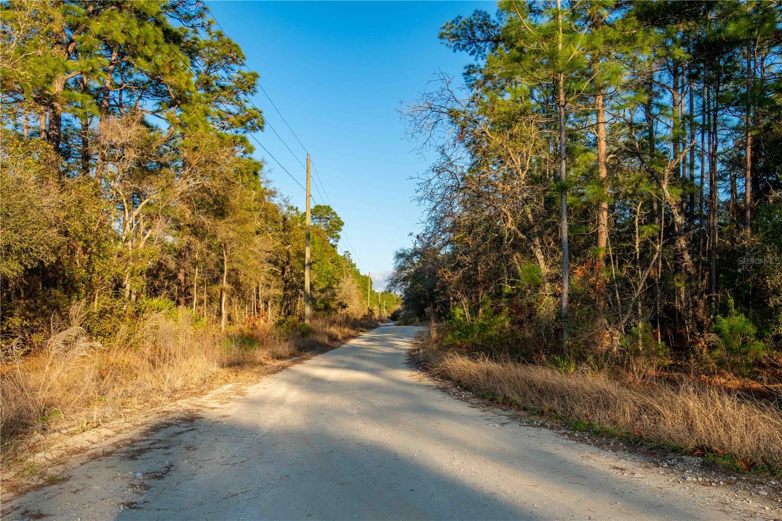 11465 THAMES AVE, WEEKI WACHEE, FL, 34614