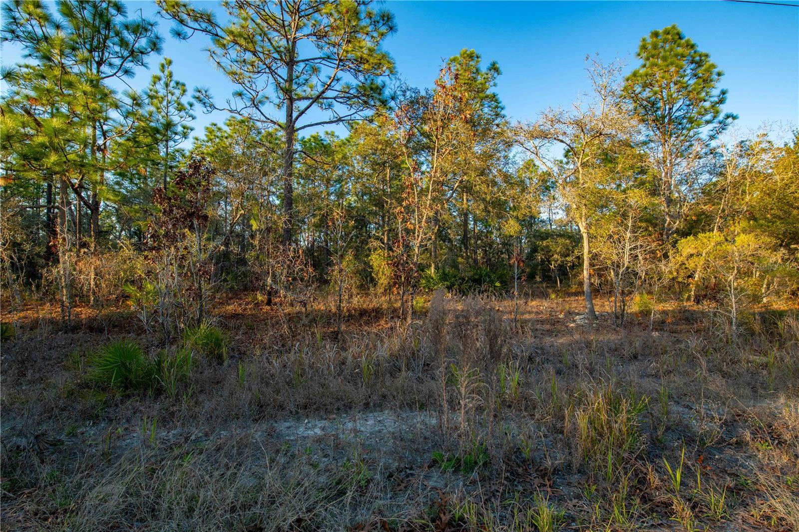 11465 THAMES AVE, WEEKI WACHEE, FL, 34614