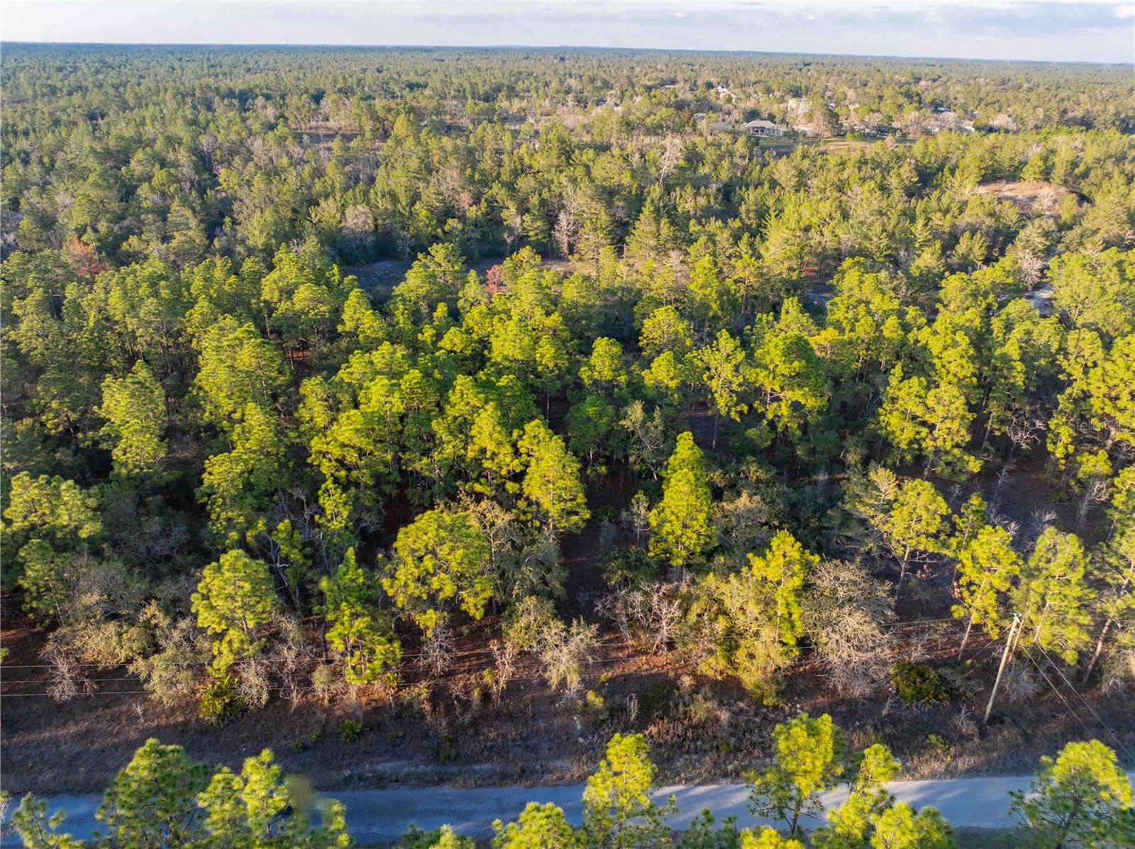 11465 THAMES AVE, WEEKI WACHEE, FL, 34614