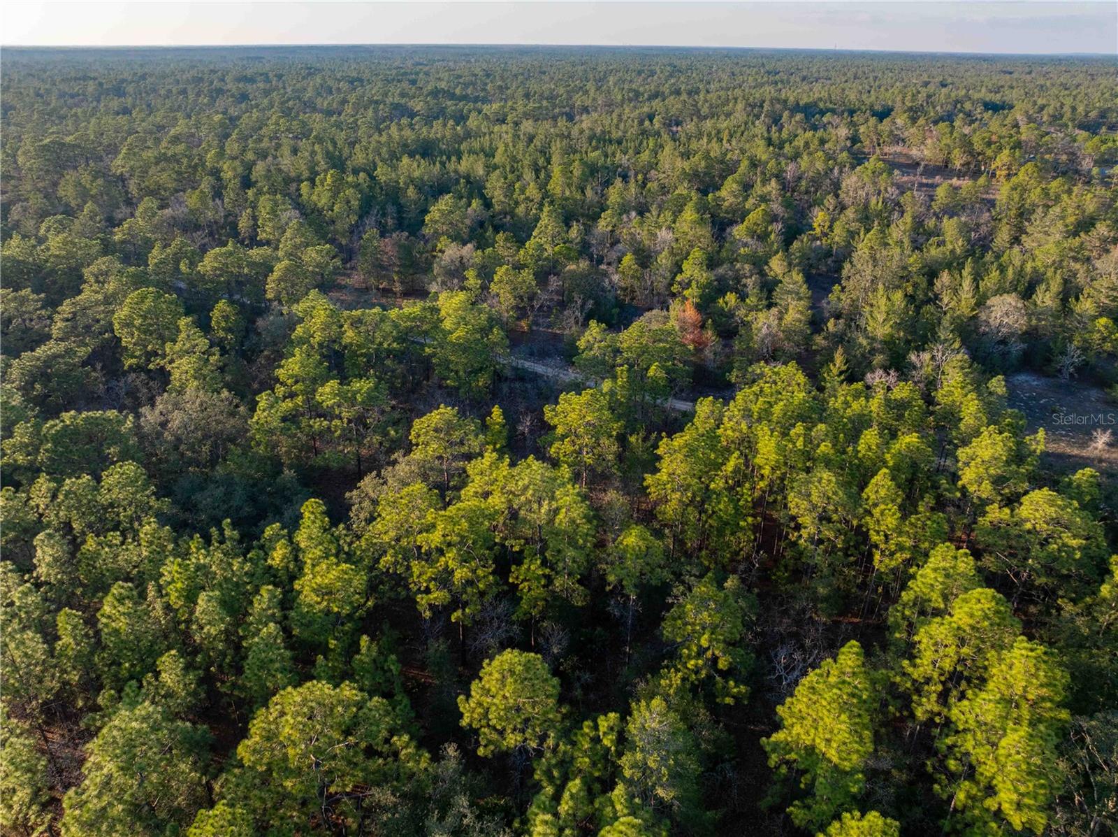 11465 THAMES AVE, WEEKI WACHEE, FL, 34614