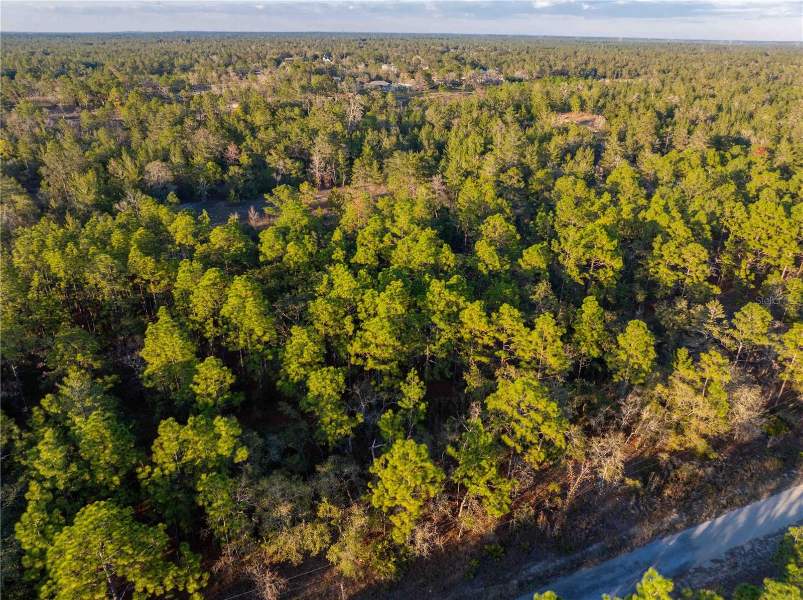 11465 THAMES AVE, WEEKI WACHEE, FL, 34614