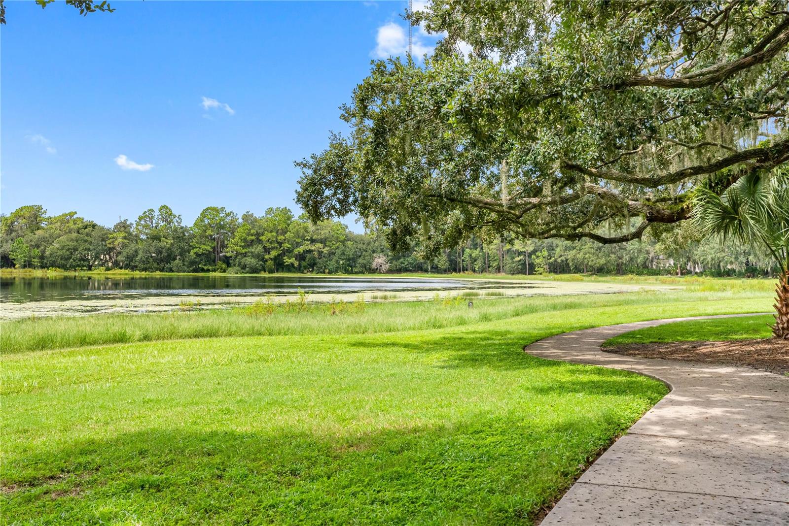 5786 SPOTTED HARRIER WAY, LITHIA, FL, 33547