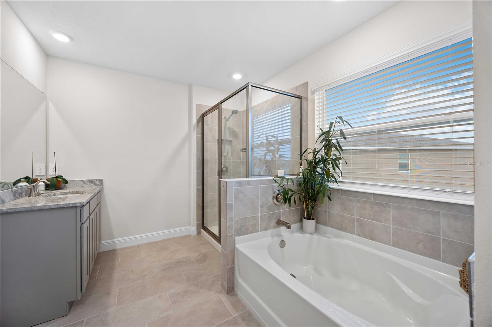 17564 CANTARINA CV, LAKEWOOD RANCH, FL, 34211