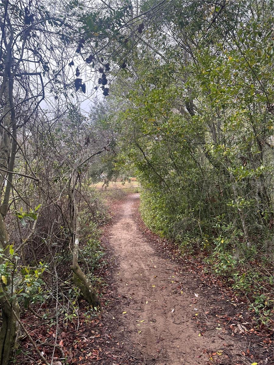 1925-1925, LEESBURG, FL, 34788