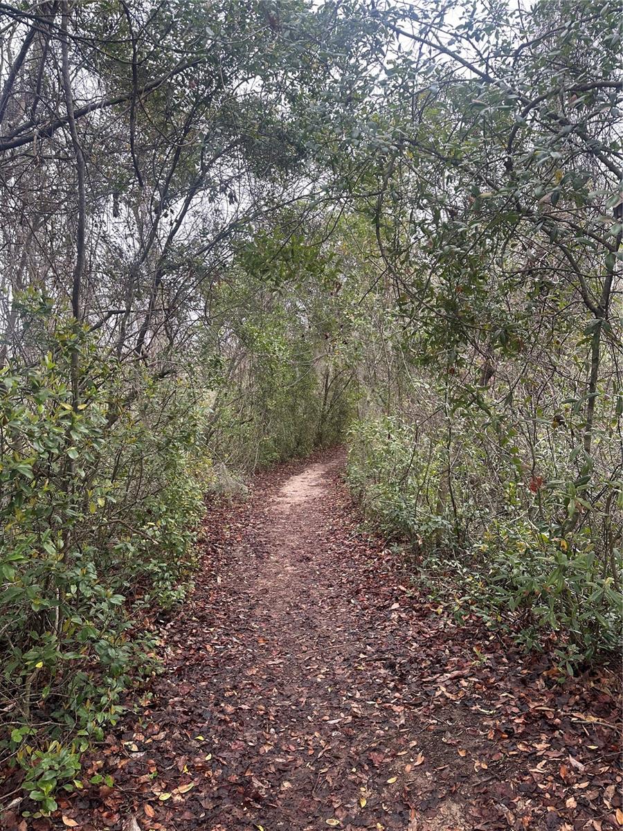 1925-1925, LEESBURG, FL, 34788