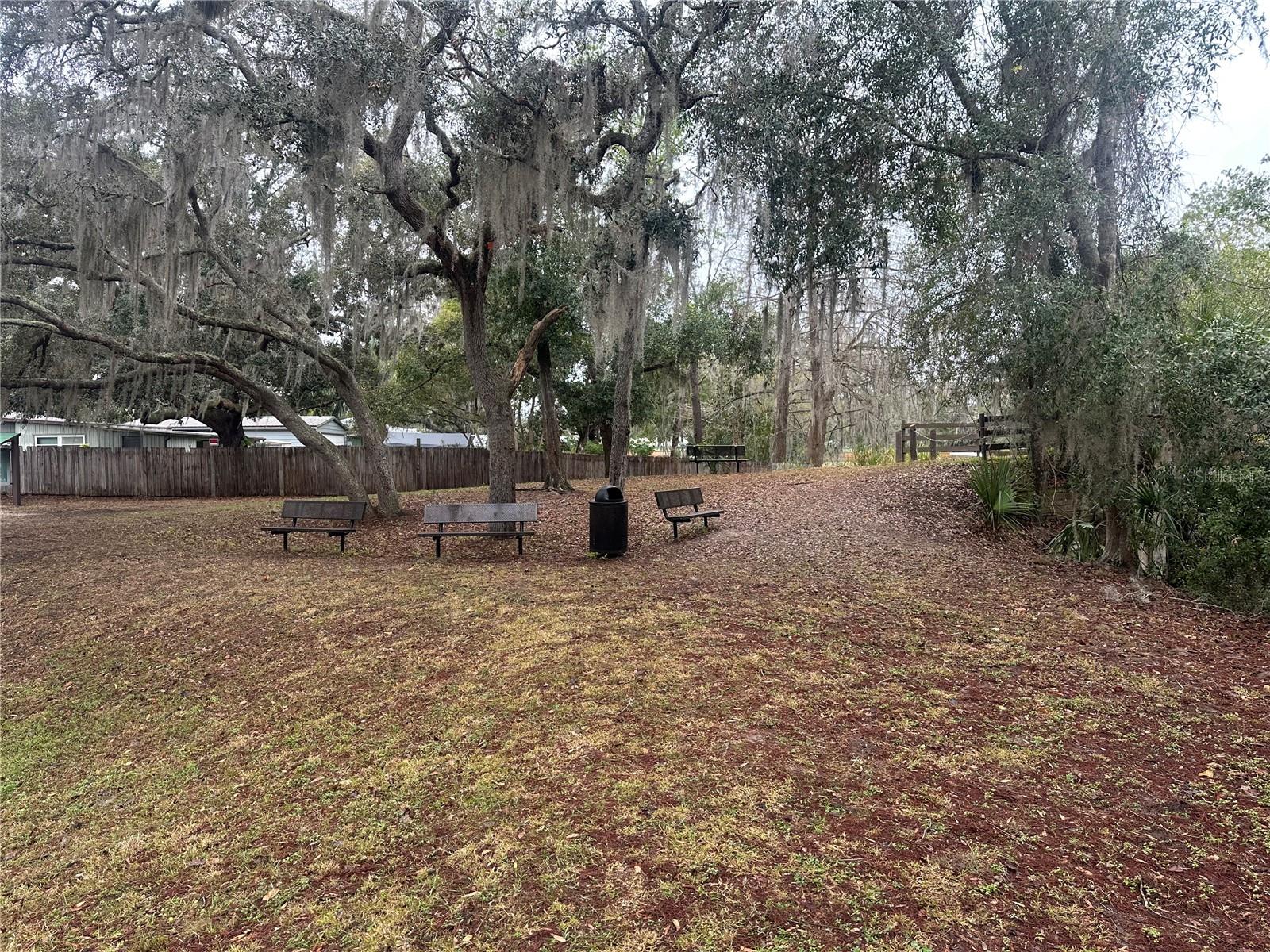 1925-1925, LEESBURG, FL, 34788