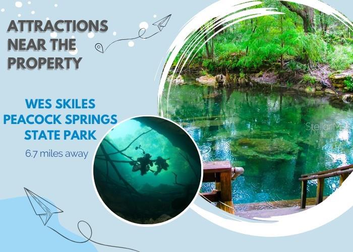 TBD 145TH RD, MC ALPIN, FL, 32062