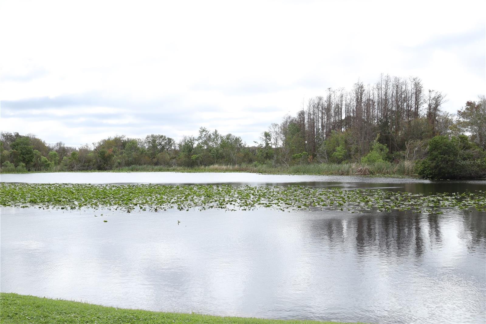 4036 CORTEZ DR #A, TAMPA, FL, 33614