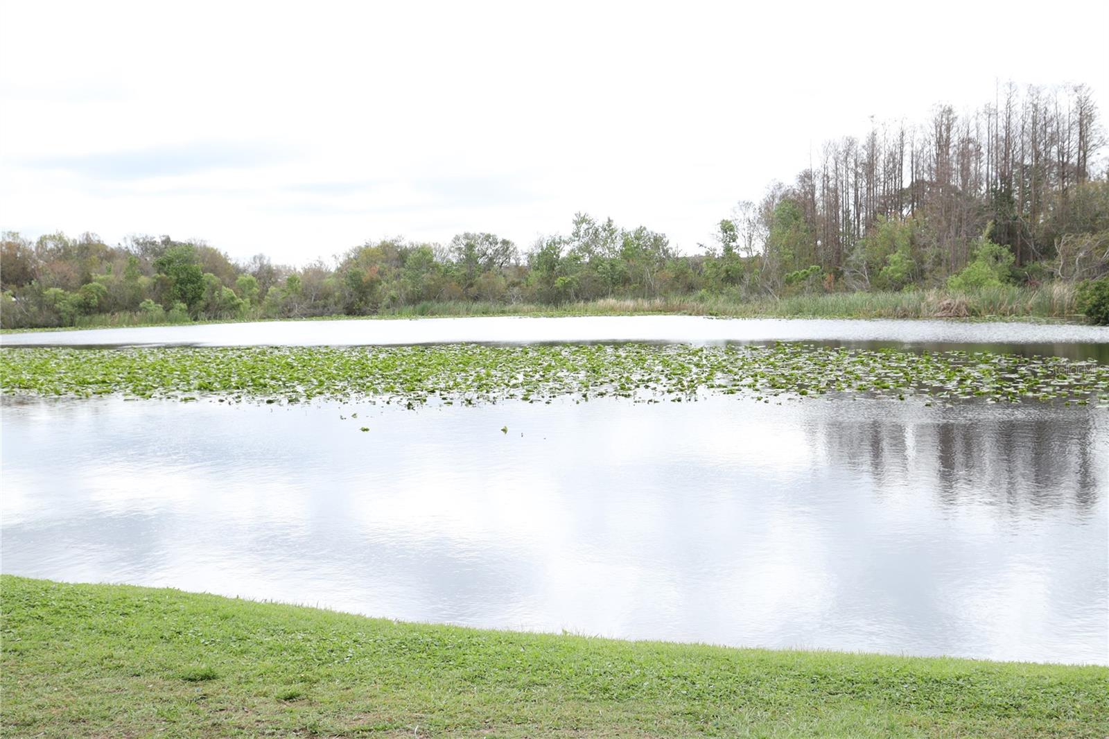 4036 CORTEZ DR #A, TAMPA, FL, 33614