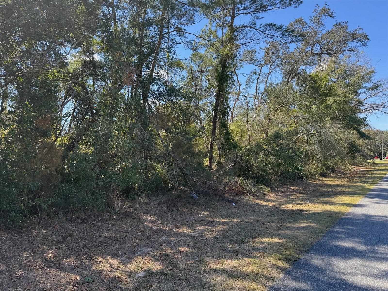 Lot 14 SW 139TH STREET ROAD, OCALA, FL, 34473