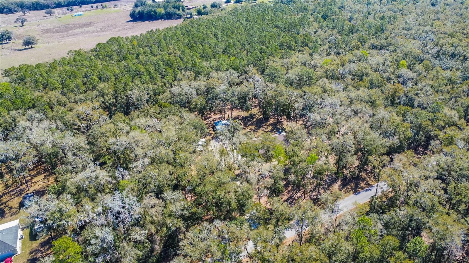 5369 N IRONSTONE TER, HERNANDO, FL, 34442