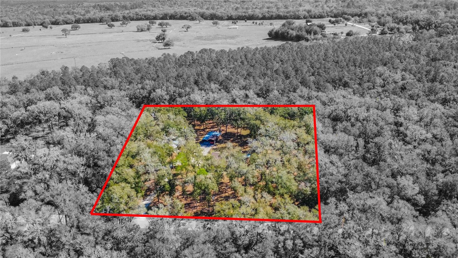 5369 N IRONSTONE TER, HERNANDO, FL, 34442