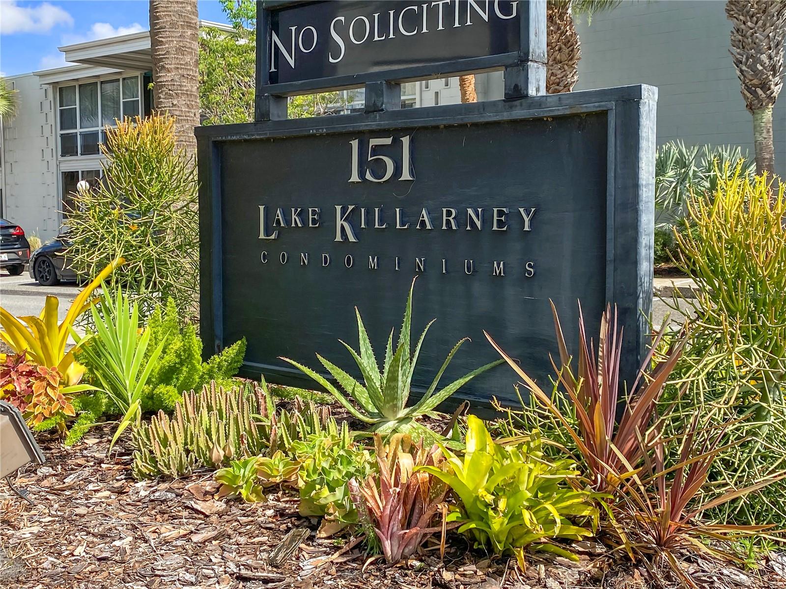 151 N ORLANDO AVE #229, WINTER PARK, FL, 32789