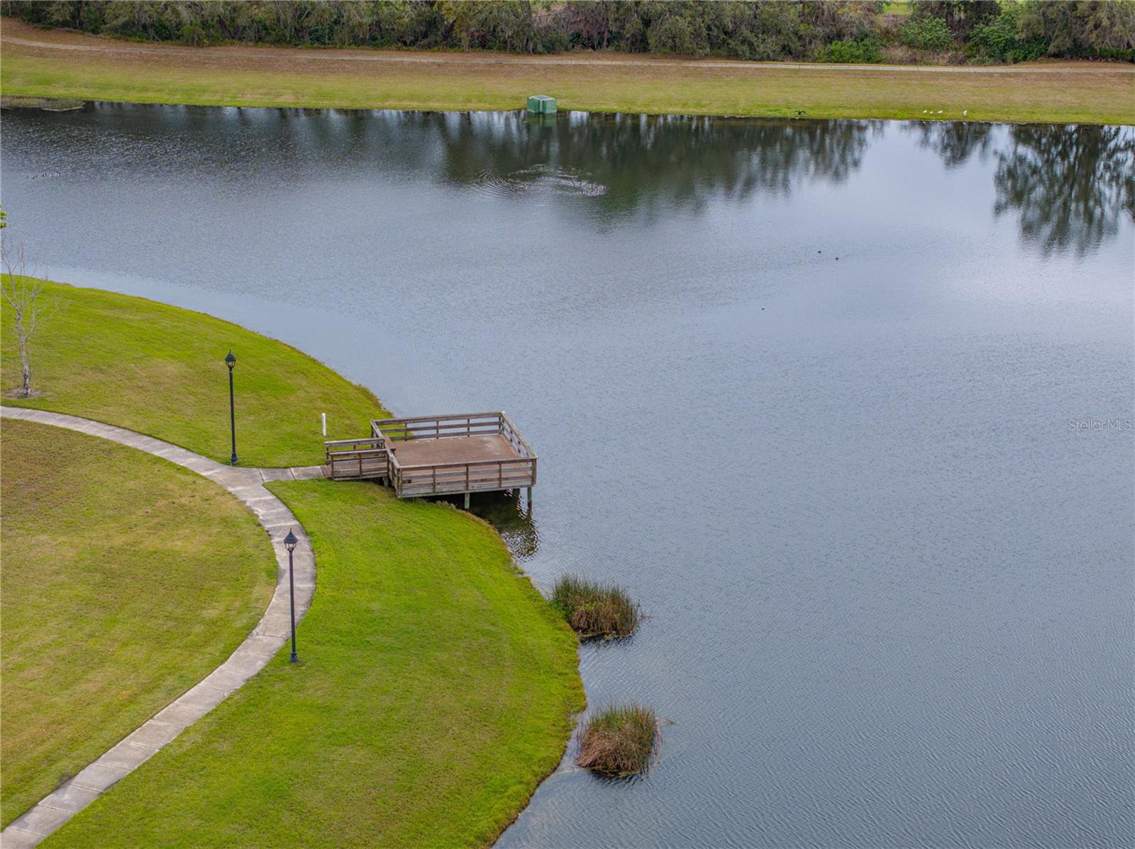 12811 WHEATGRASS CT, PARRISH, FL, 34219