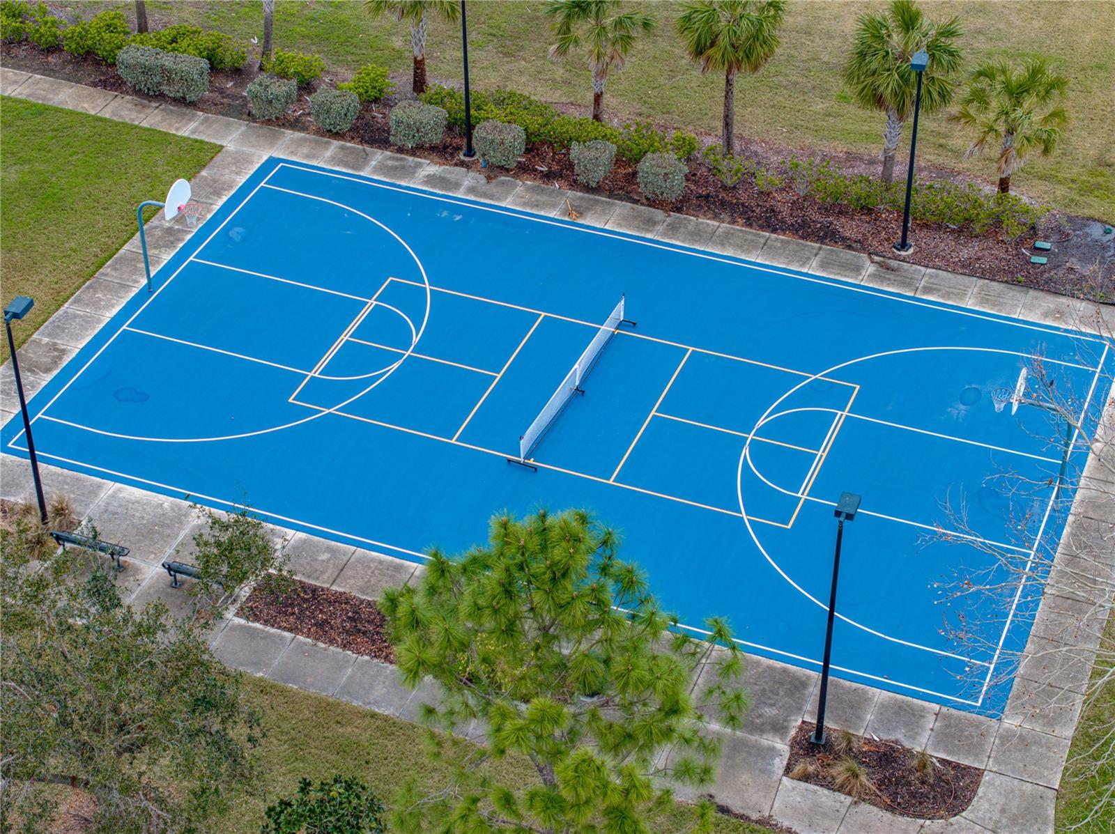 12811 WHEATGRASS CT, PARRISH, FL, 34219