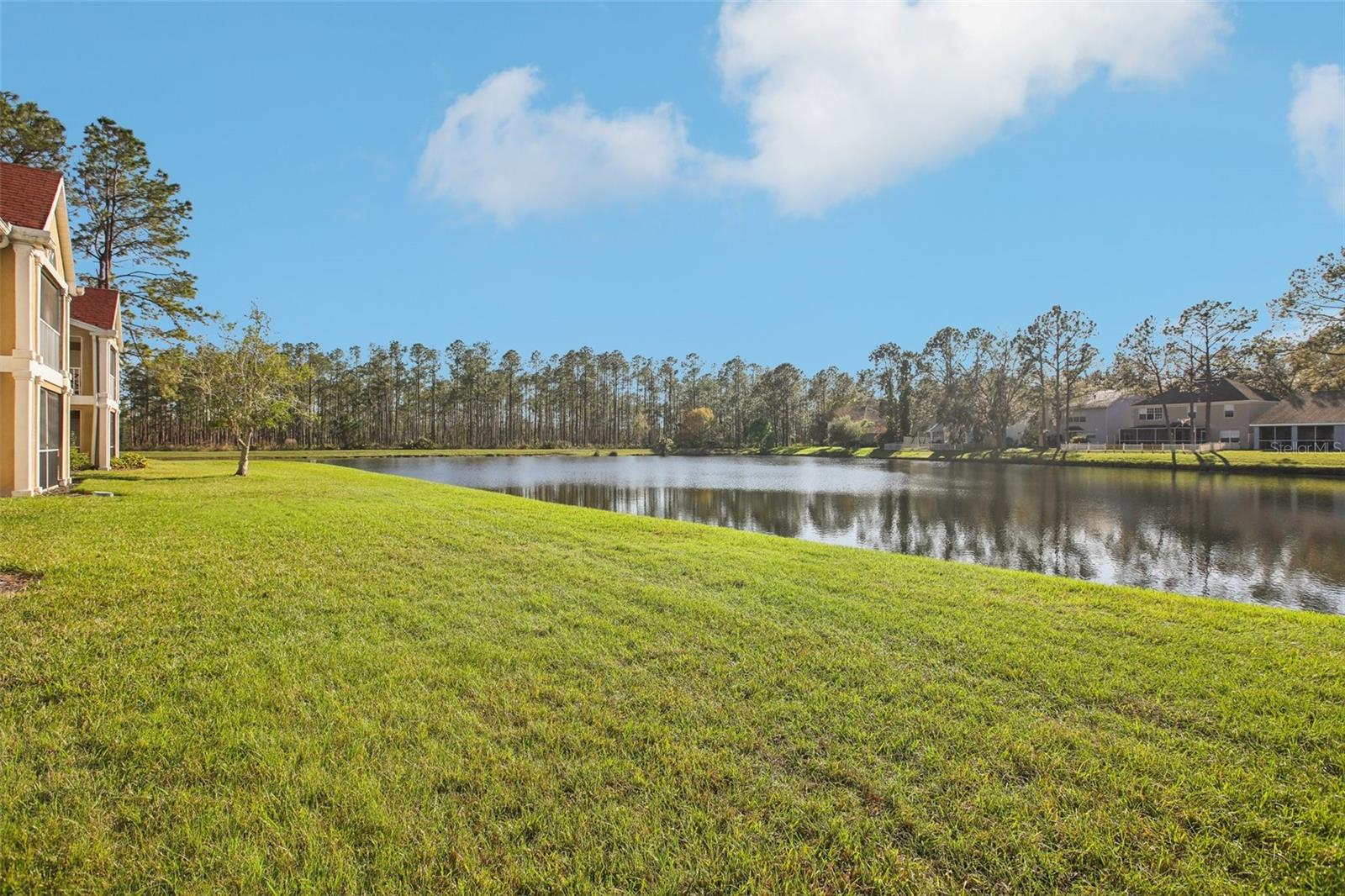 9481 HIGHLAND OAK DR #1114, TAMPA, FL, 33647