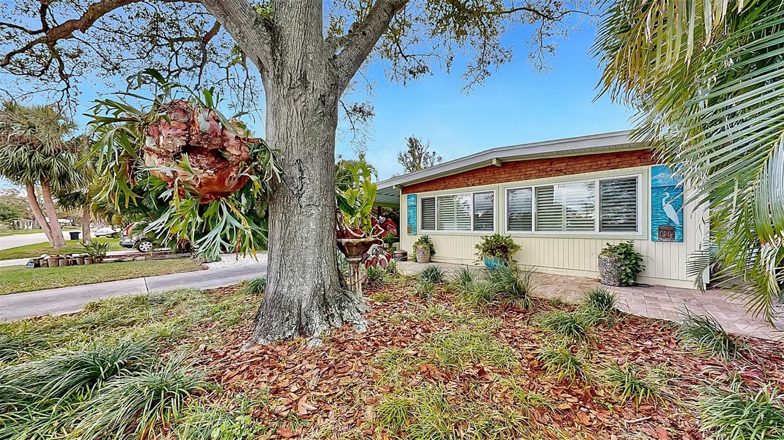 4100 7TH ST N, ST PETERSBURG, FL, 33703