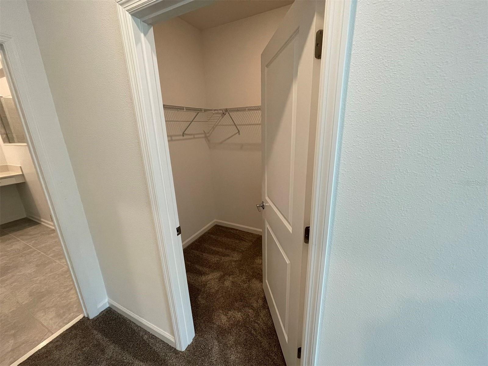 10163 SALT POINT DR, WINTER GARDEN, FL, 34787