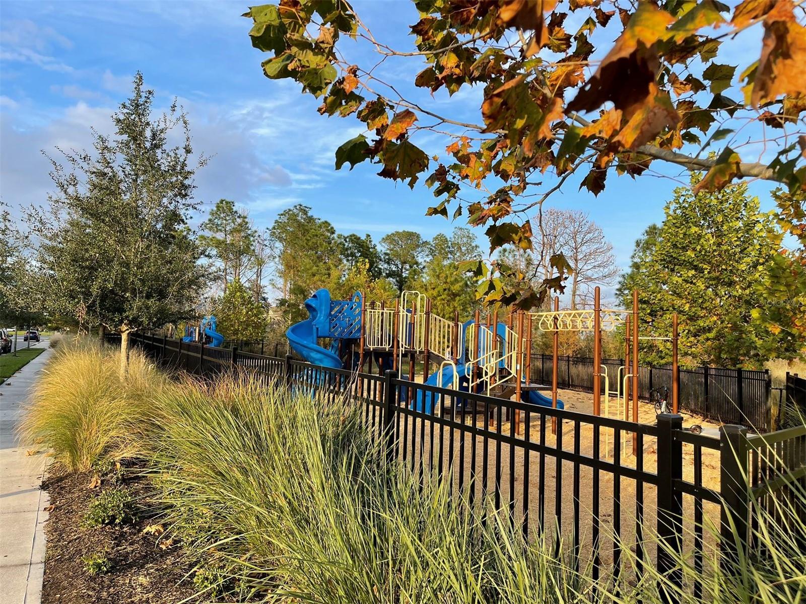 10163 SALT POINT DR, WINTER GARDEN, FL, 34787