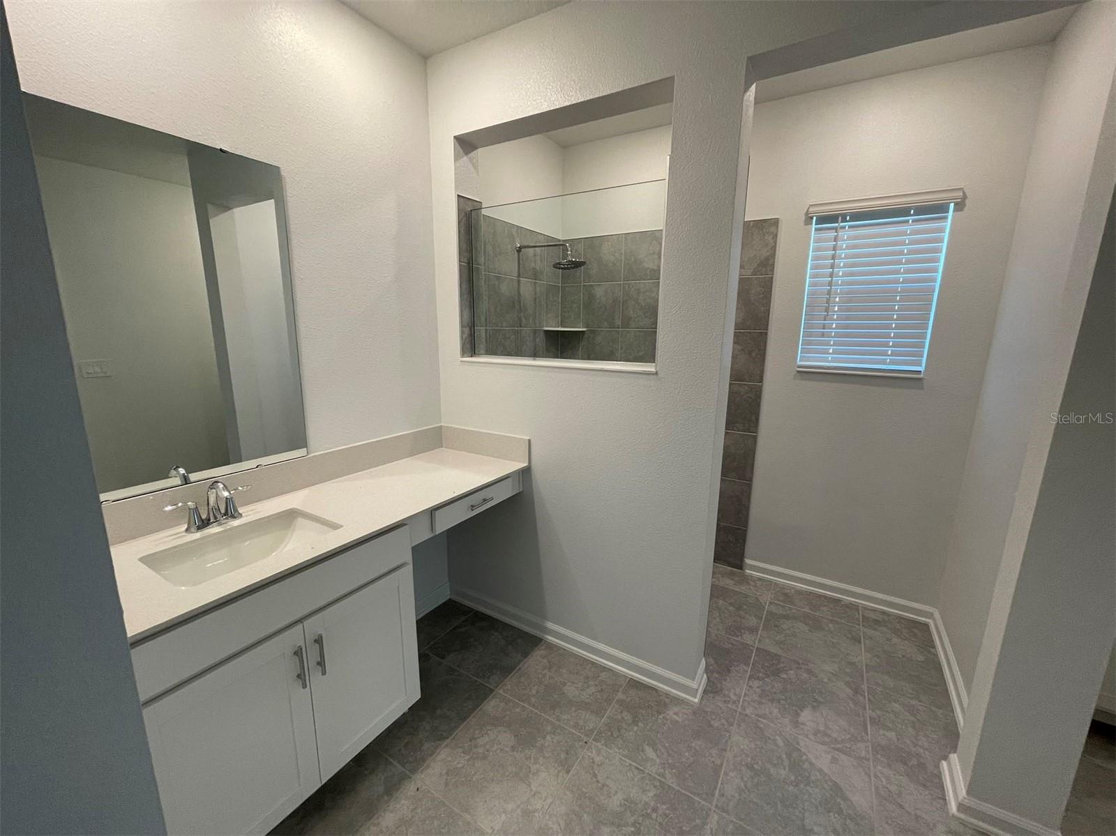 10163 SALT POINT DR, WINTER GARDEN, FL, 34787