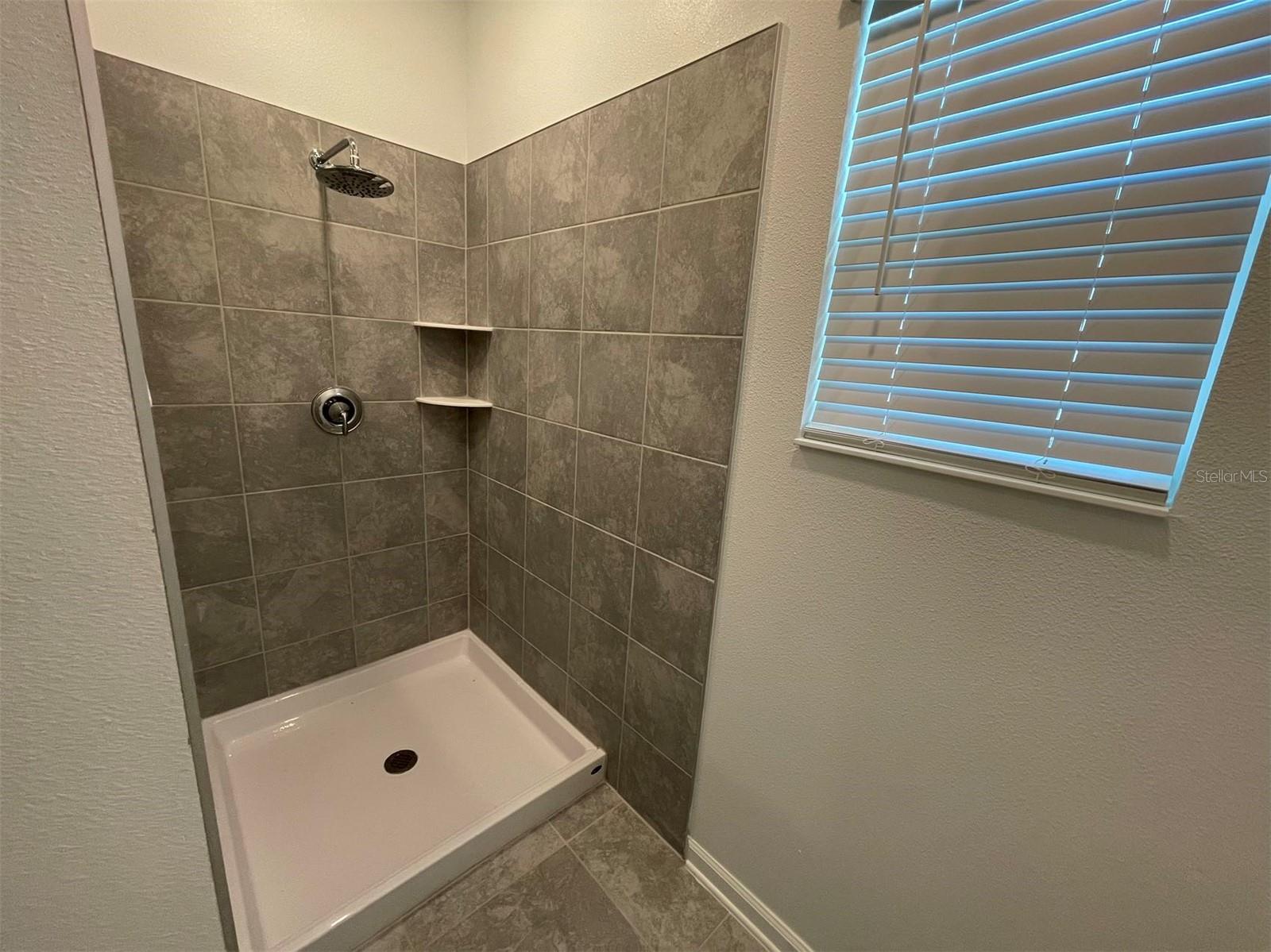 10163 SALT POINT DR, WINTER GARDEN, FL, 34787