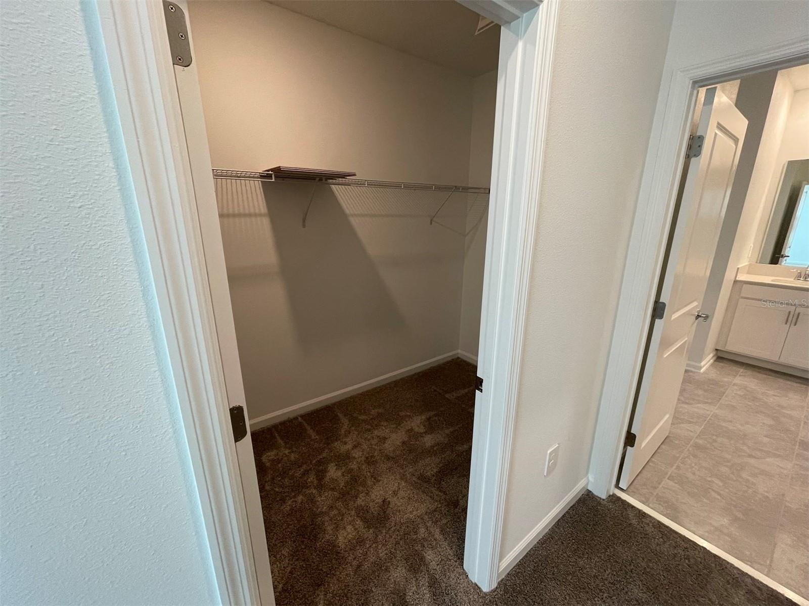 10163 SALT POINT DR, WINTER GARDEN, FL, 34787