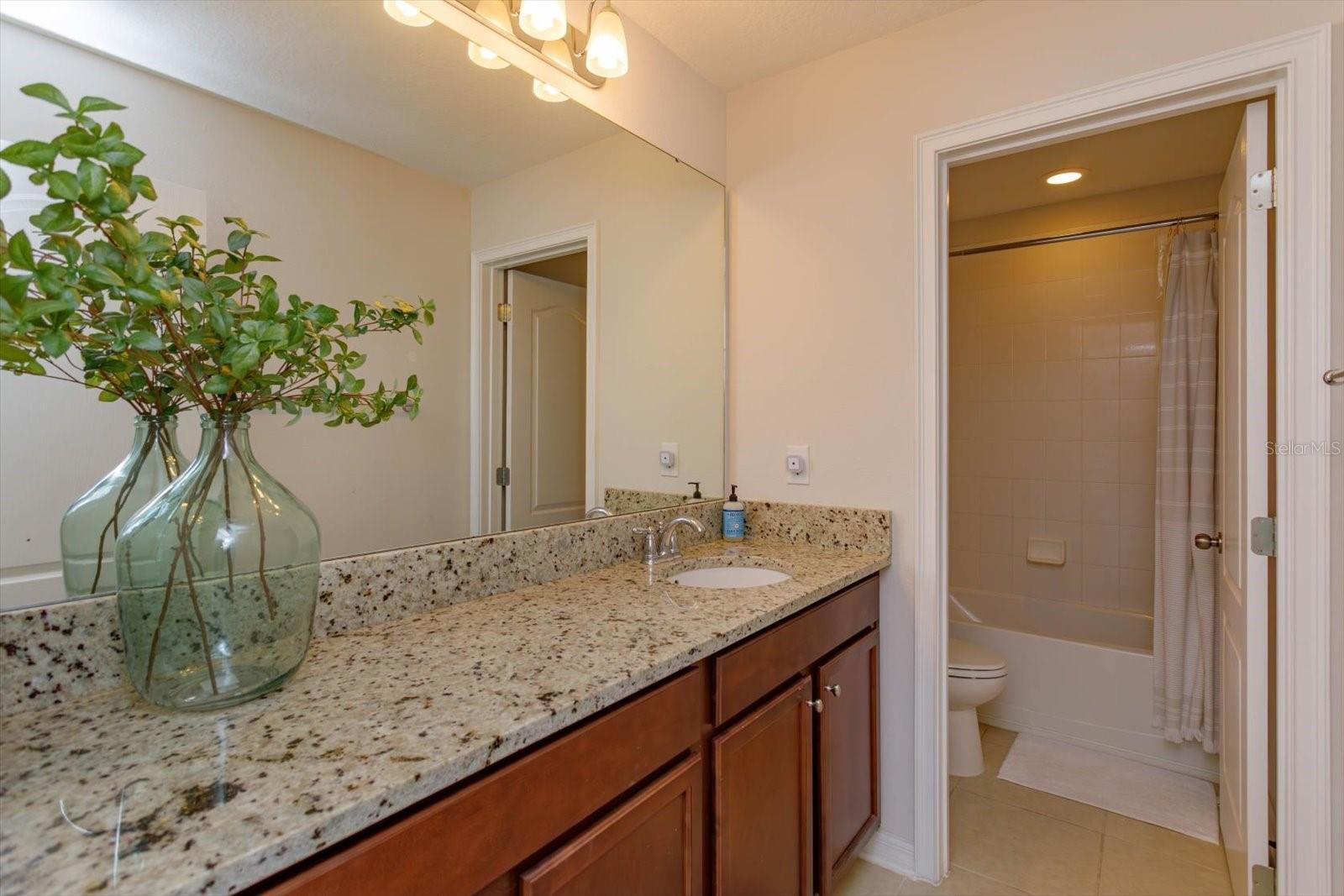 1077 FOUNTAIN COIN LOOP, ORLANDO, FL, 32828