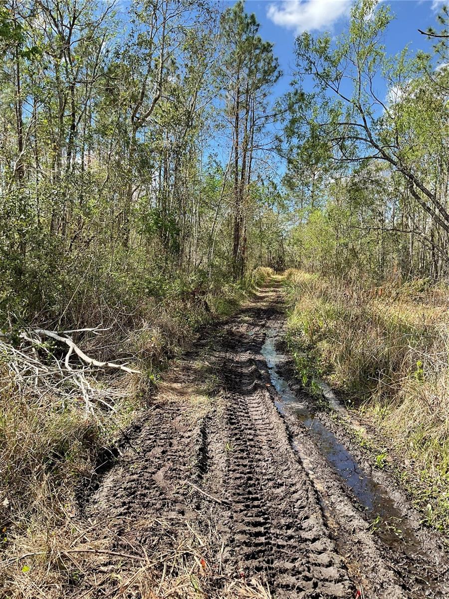 0 SR-33, CLERMONT, FL, 34714