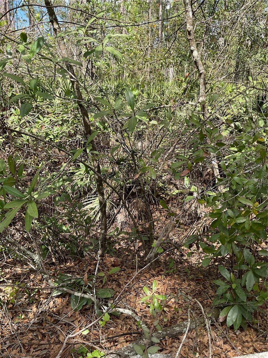 0 SR-33, CLERMONT, FL, 34714