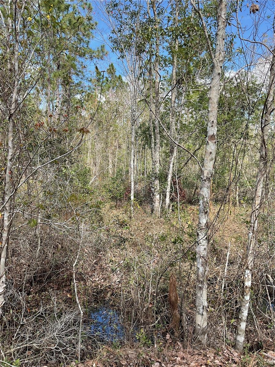 0 SR-33, CLERMONT, FL, 34714