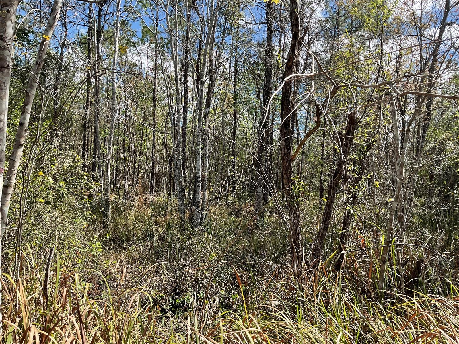 0 SR-33, CLERMONT, FL, 34714