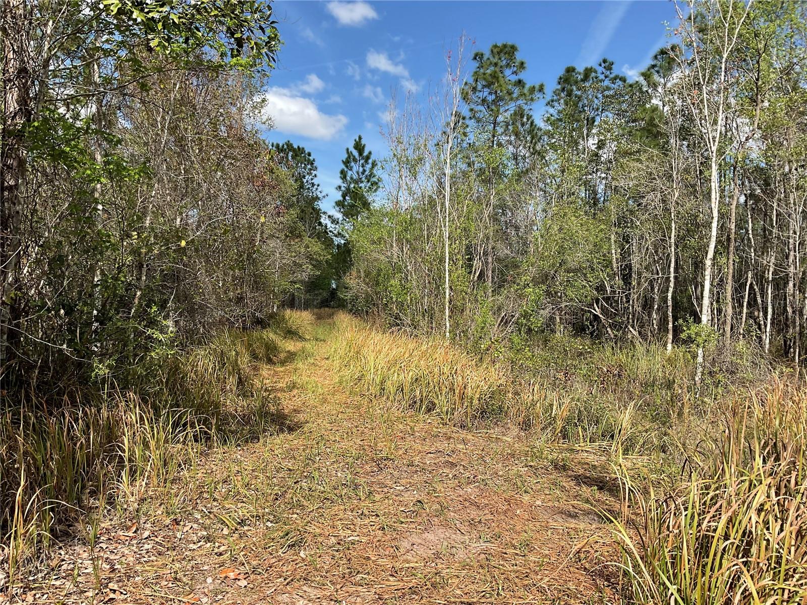 0 SR-33, CLERMONT, FL, 34714