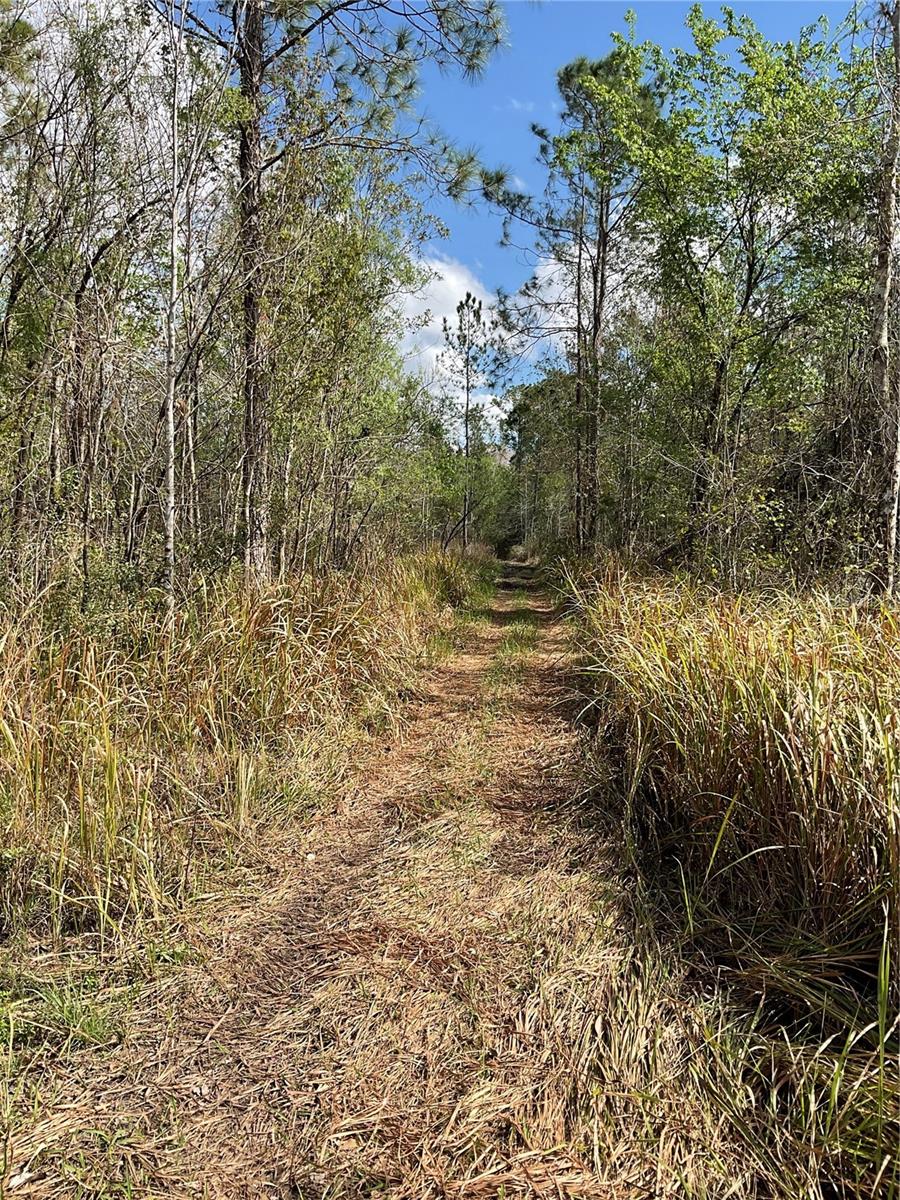 0 SR-33, CLERMONT, FL, 34714