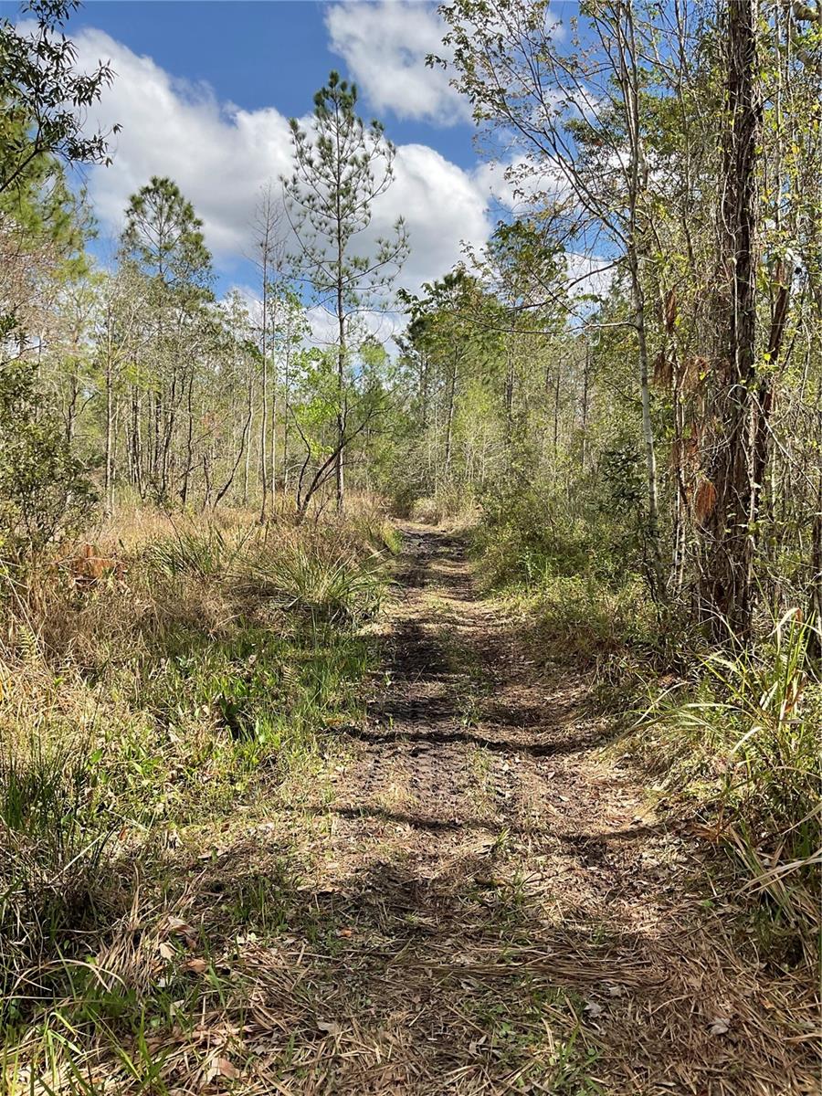 0 SR-33, CLERMONT, FL, 34714