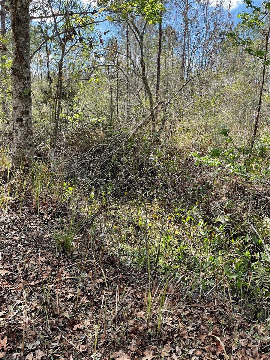 0 SR-33, CLERMONT, FL, 34714