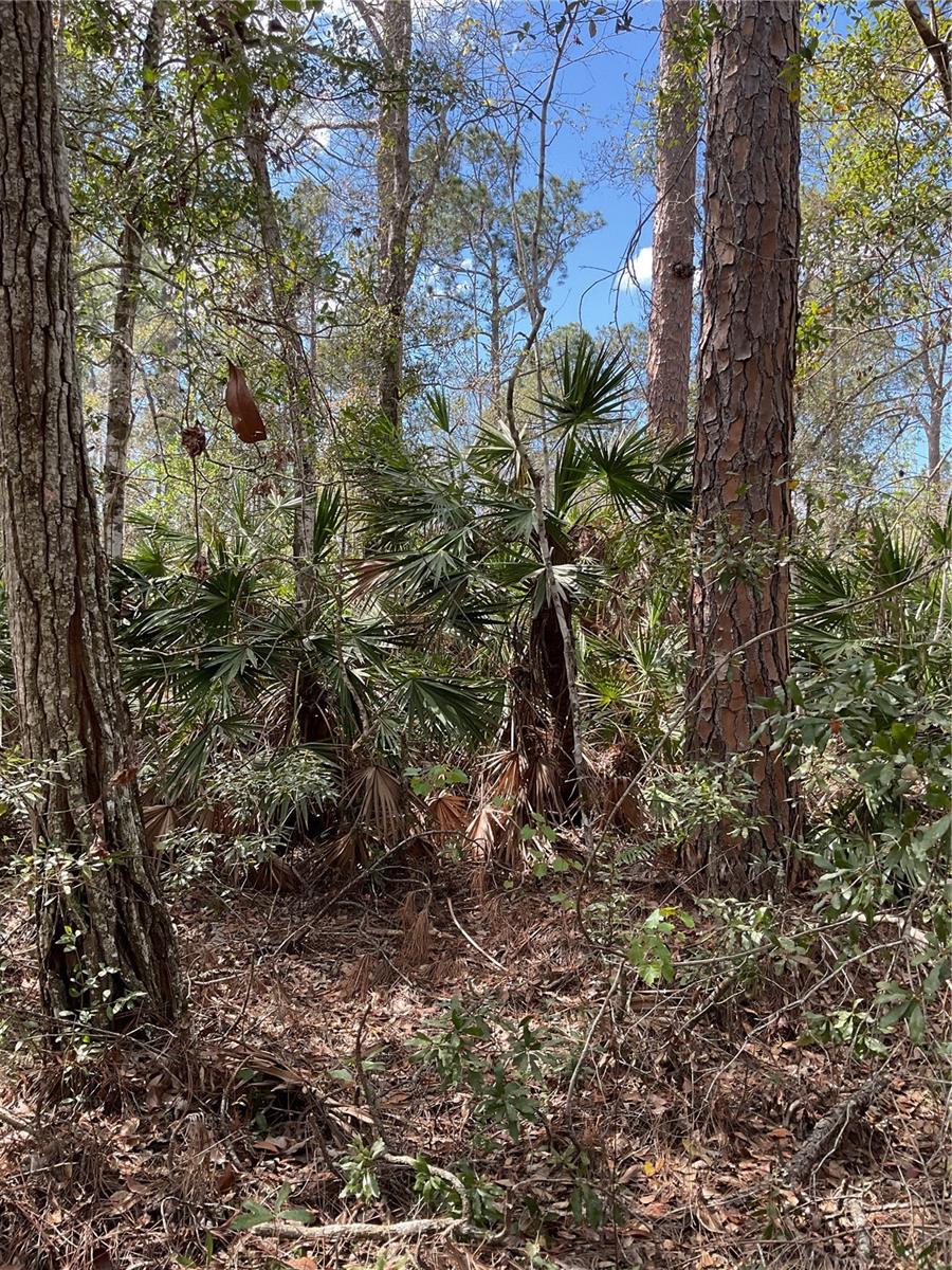 0 SR-33, CLERMONT, FL, 34714