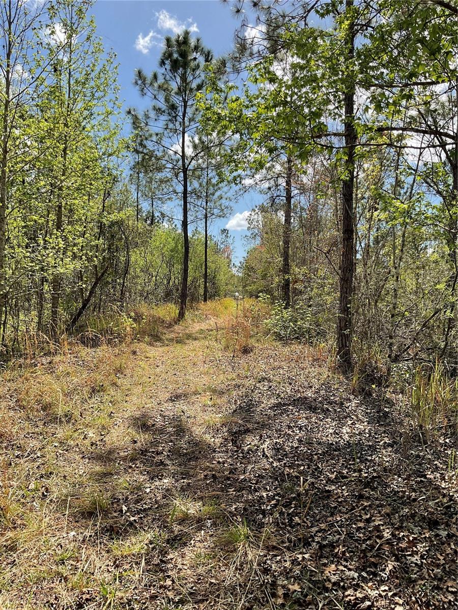 0 SR-33, CLERMONT, FL, 34714