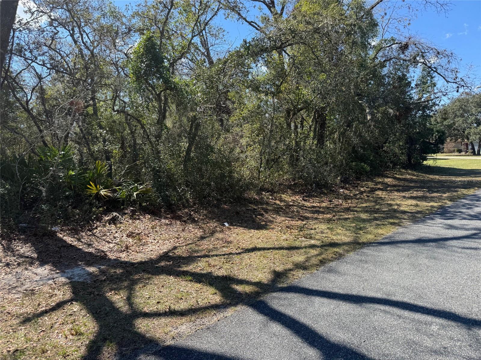 Lot 15 SW 139TH STREET ROAD, OCALA, FL, 34473