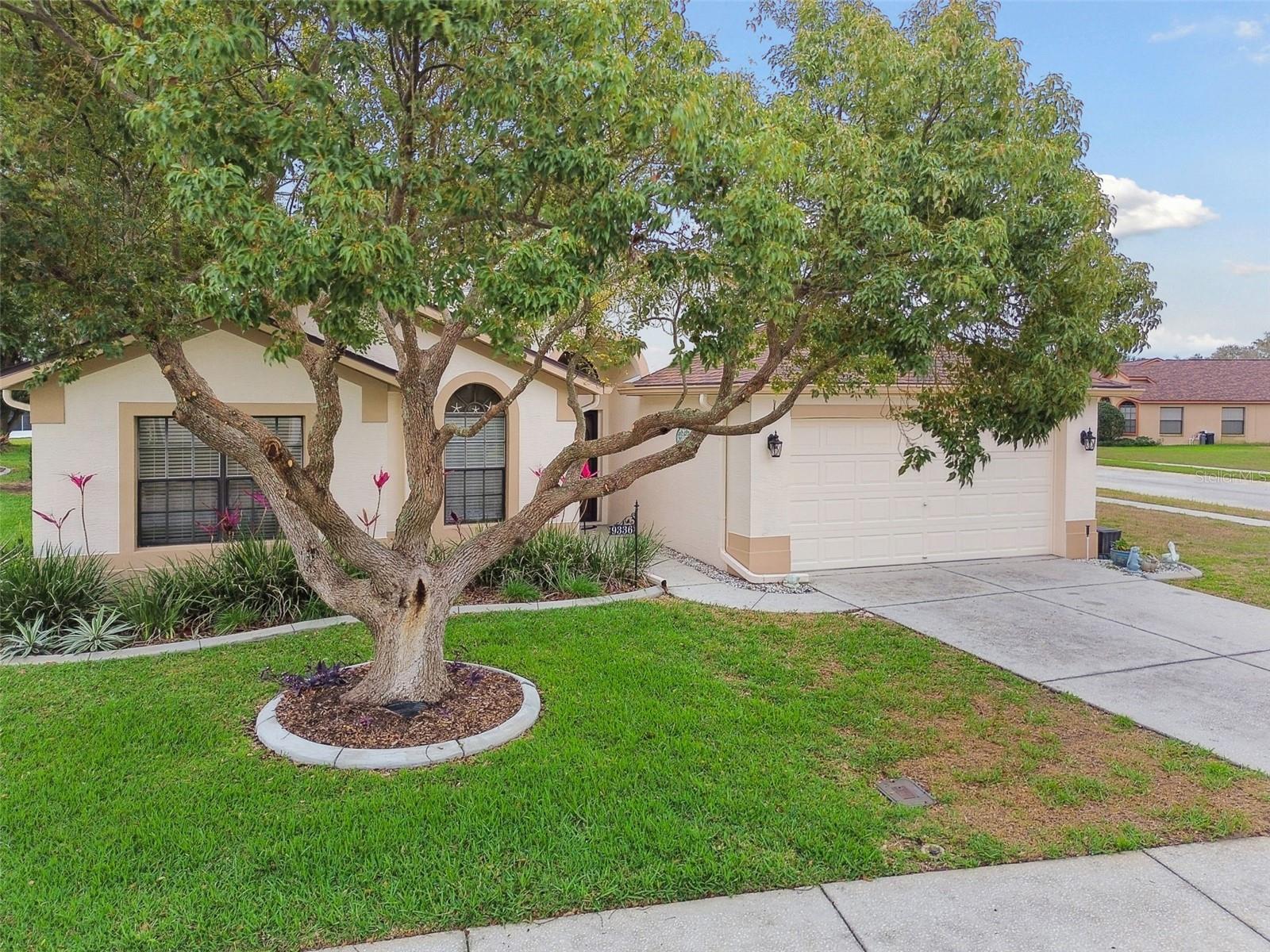 9336 CREEKSIDE CT, HUDSON, FL, 34669