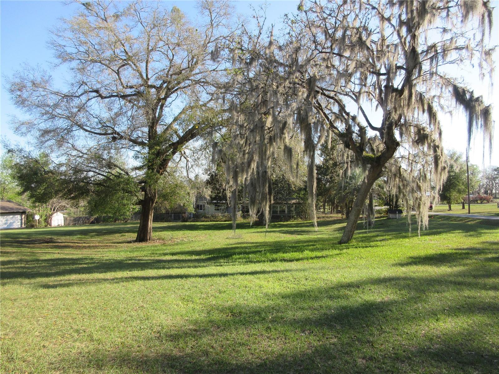 1605 SE 160TH CT, OCKLAWAHA, FL, 32179