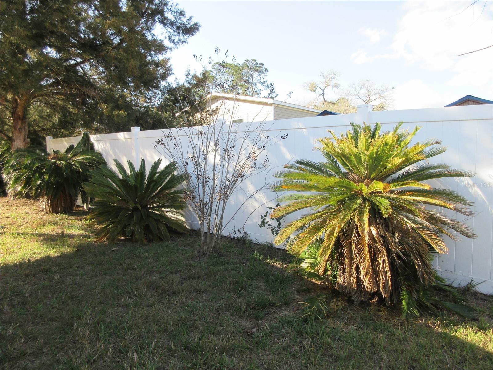 1605 SE 160TH CT, OCKLAWAHA, FL, 32179